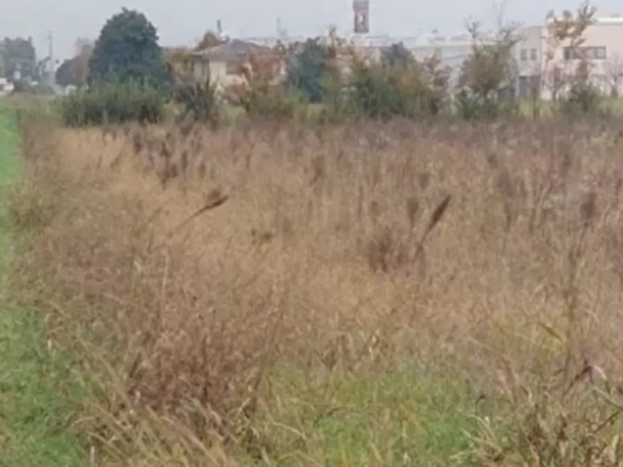 Immagine 3 di Terreno edificabile in vendita  in Località Mussetta di Sopra a San Donà Di Piave