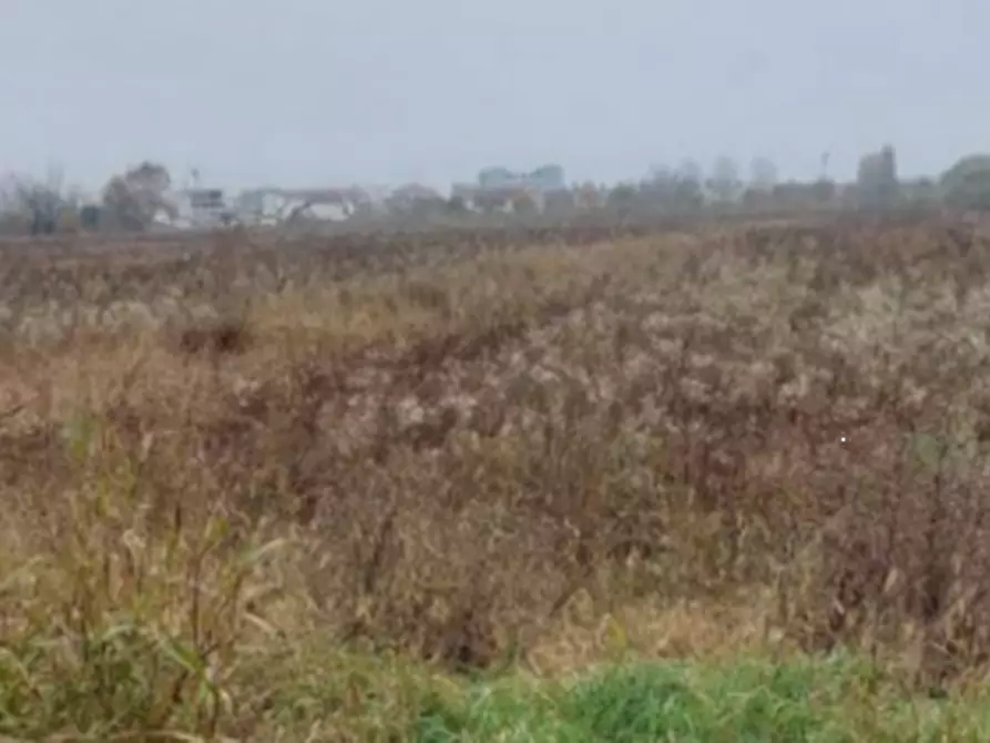 Immagine 4 di Terreno edificabile in vendita  in Località Mussetta di Sopra a San Donà Di Piave