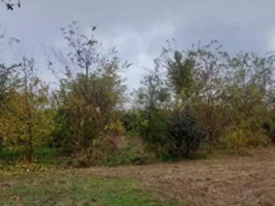 Immagine 12 di Terreno edificabile in vendita  in Località Mussetta di Sopra a San Donà Di Piave