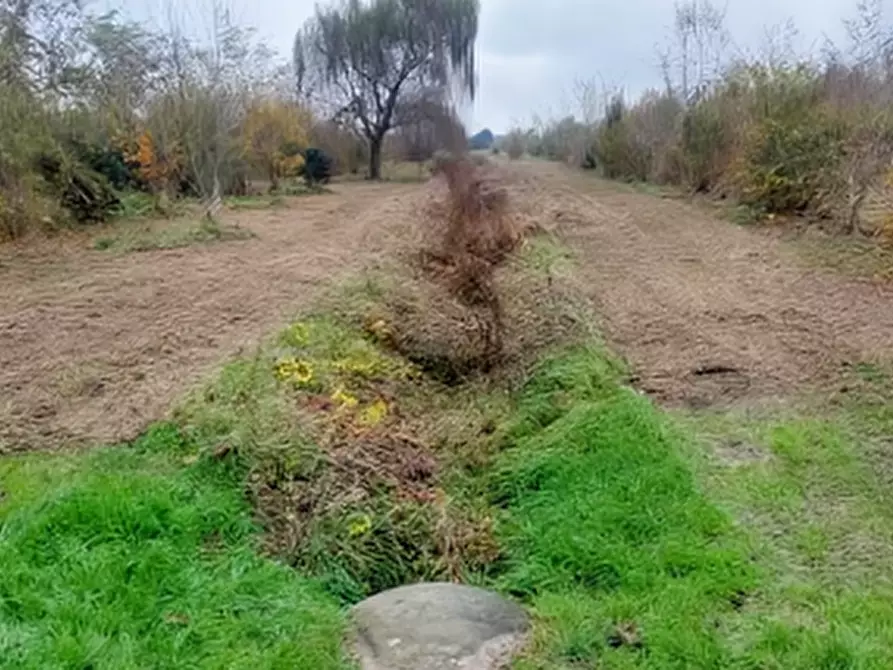 Immagine 13 di Terreno edificabile in vendita  in Località Mussetta di Sopra a San Donà Di Piave