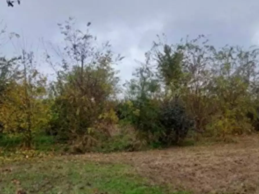 Immagine 15 di Terreno edificabile in vendita  in Località Mussetta di Sopra a San Donà Di Piave