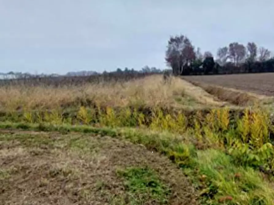 Immagine 16 di Terreno edificabile in vendita  in Località Mussetta di Sopra a San Donà Di Piave