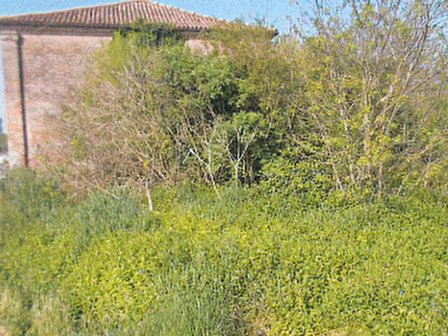 Immagine 3 di Porzione di villa in vendita  in Via Paglioni a Portomaggiore