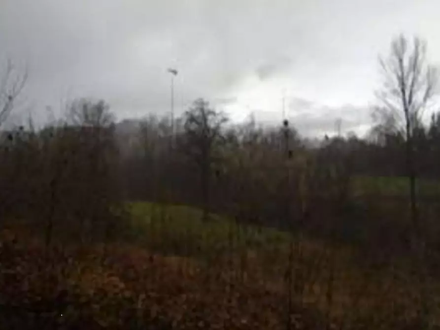 Immagine 2 di Terreno agricolo in vendita  in Via Guilguella di Levizzano a Baiso