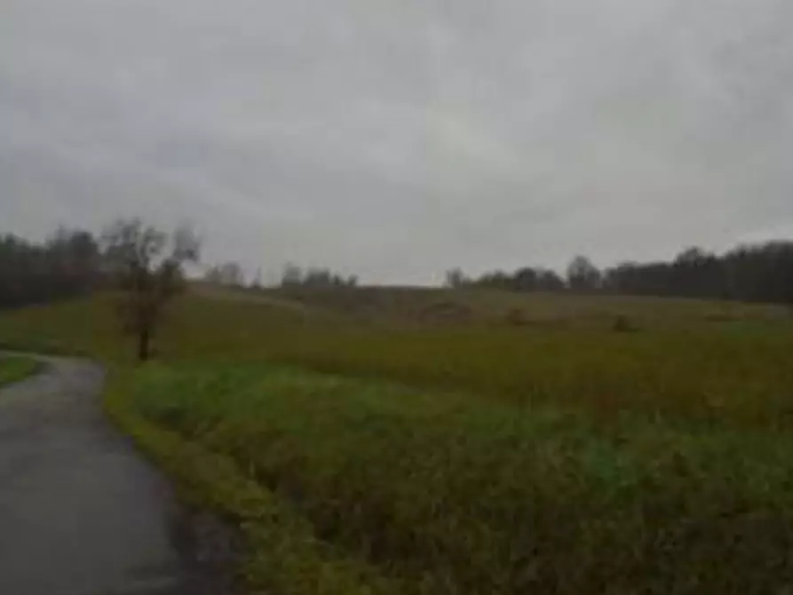 Immagine 1 di Terreno agricolo in vendita  in Via Guilguella di Levizzano a Baiso