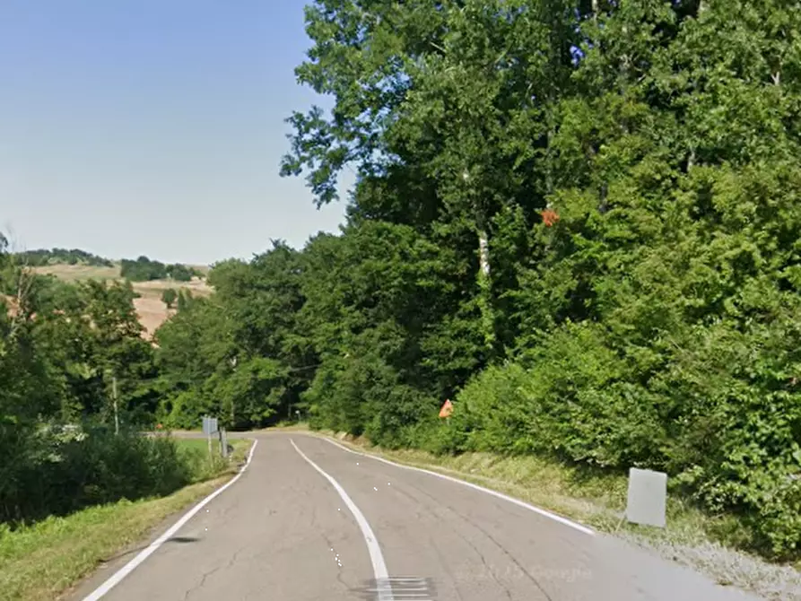 Immagine 5 di Terreno agricolo in vendita  in Via Guilguella di Levizzano a Baiso