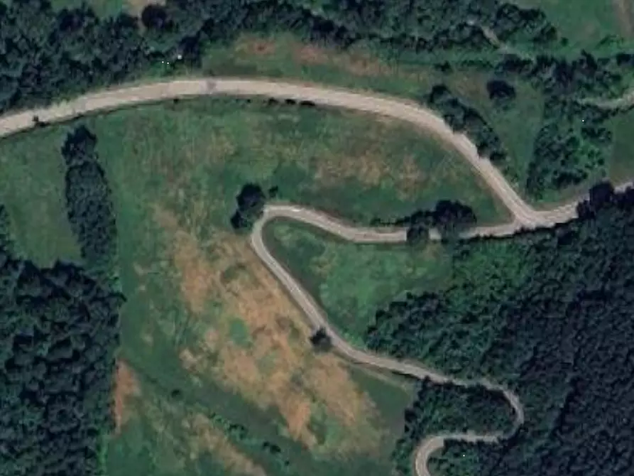 Immagine 8 di Terreno agricolo in vendita  in Via Guilguella di Levizzano a Baiso