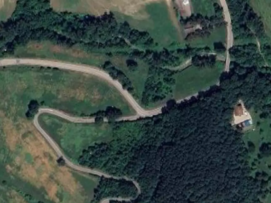 Immagine 9 di Terreno agricolo in vendita  in Via Guilguella di Levizzano a Baiso