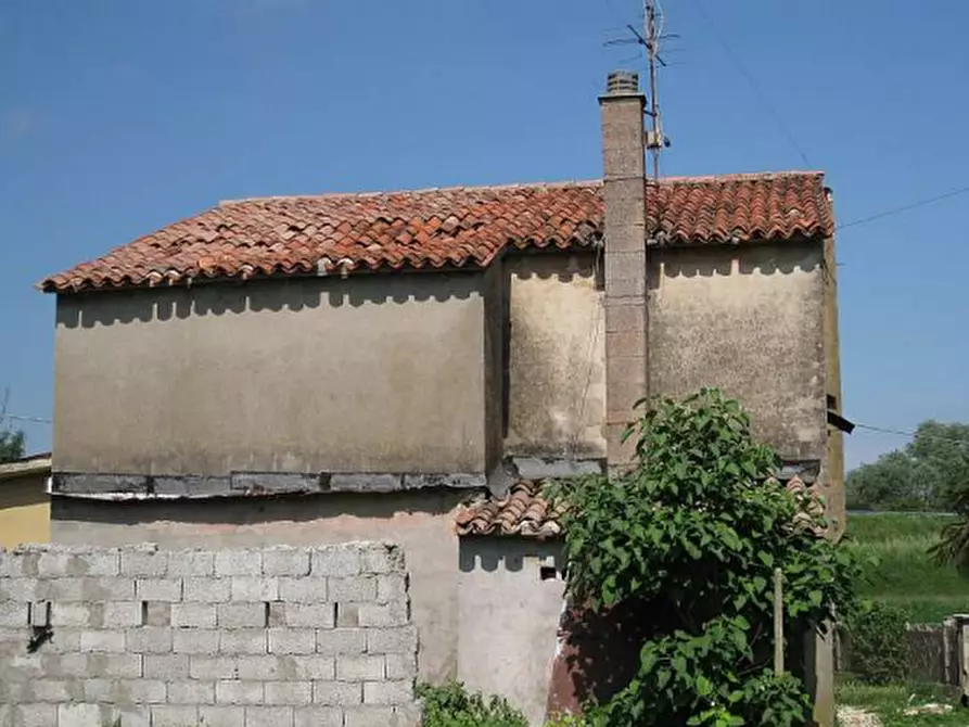 Immagine 5 di Porzione di casa in vendita  in via Argine Sinistro Brenta a Codevigo
