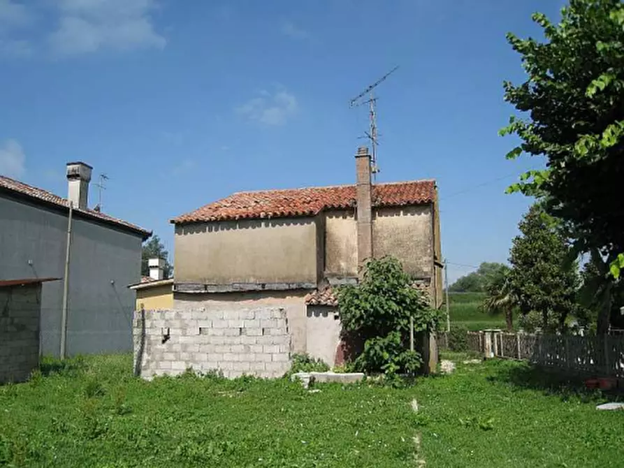 Immagine 7 di Porzione di casa in vendita  in via Argine Sinistro Brenta a Codevigo