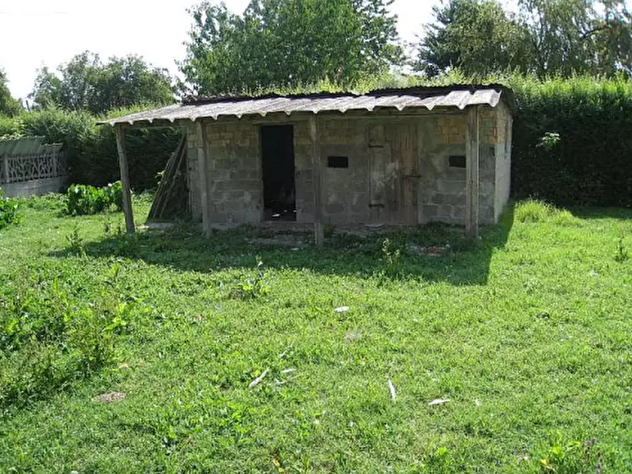 Immagine 10 di Porzione di casa in vendita  in via Argine Sinistro Brenta a Codevigo