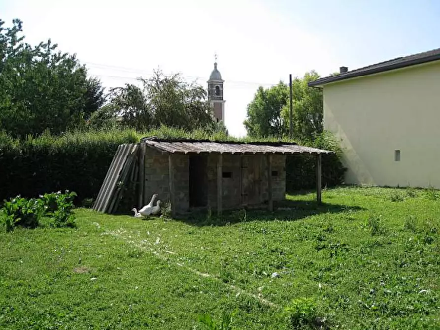 Immagine 11 di Porzione di casa in vendita  in via Argine Sinistro Brenta a Codevigo