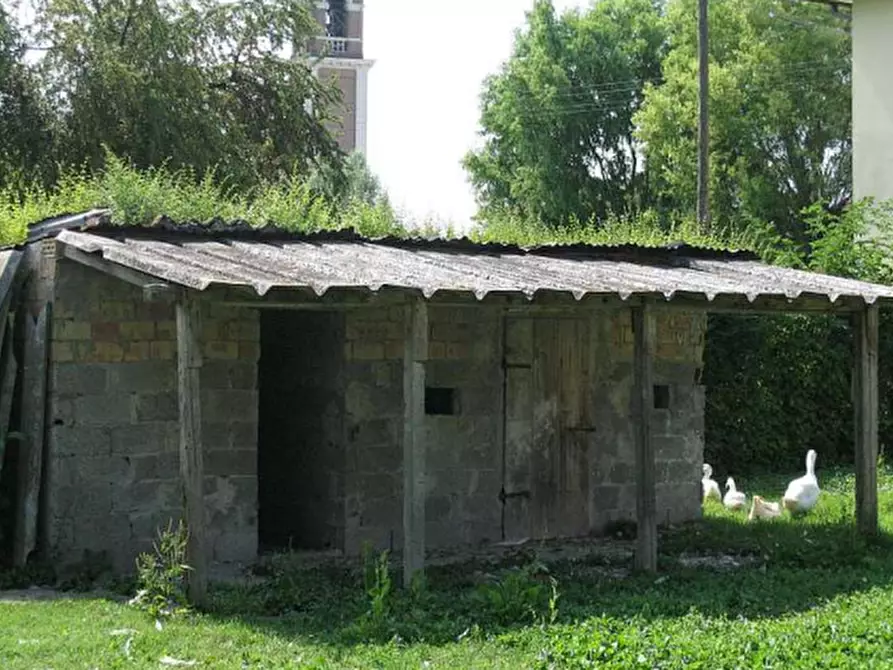 Immagine 14 di Porzione di casa in vendita  in via Argine Sinistro Brenta a Codevigo
