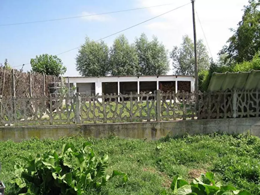 Immagine 15 di Porzione di casa in vendita  in via Argine Sinistro Brenta a Codevigo