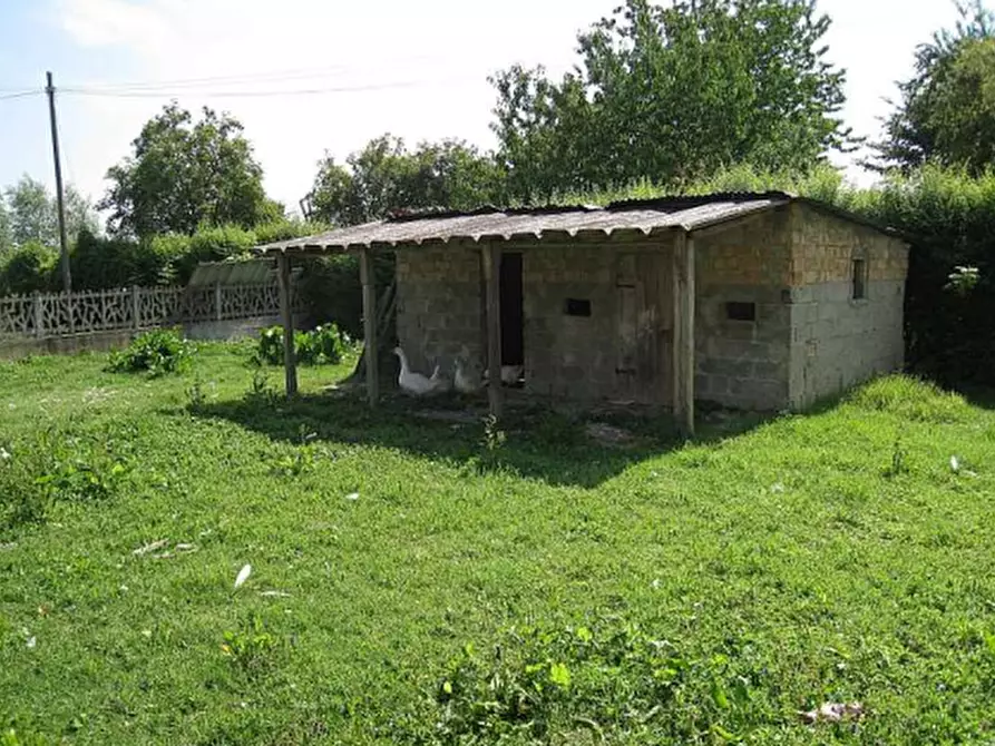 Immagine 18 di Porzione di casa in vendita  in via Argine Sinistro Brenta a Codevigo