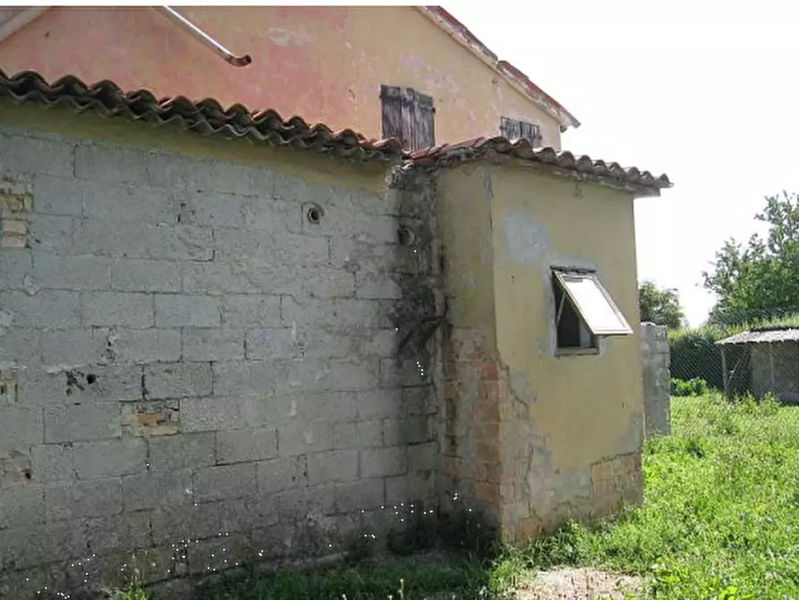 Immagine 20 di Porzione di casa in vendita  in via Argine Sinistro Brenta a Codevigo