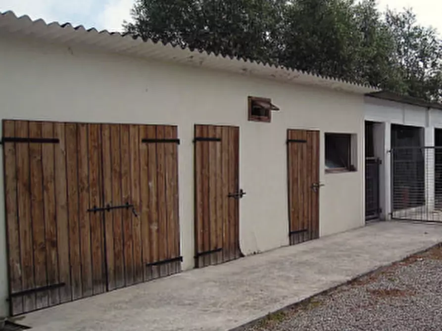 Immagine 3 di Casa indipendente in vendita  in Via Cavaizza a Codevigo