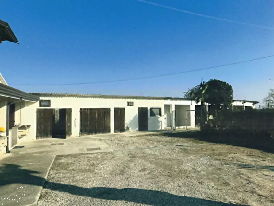 Immagine 7 di Casa indipendente in vendita  in Via Cavaizza a Codevigo