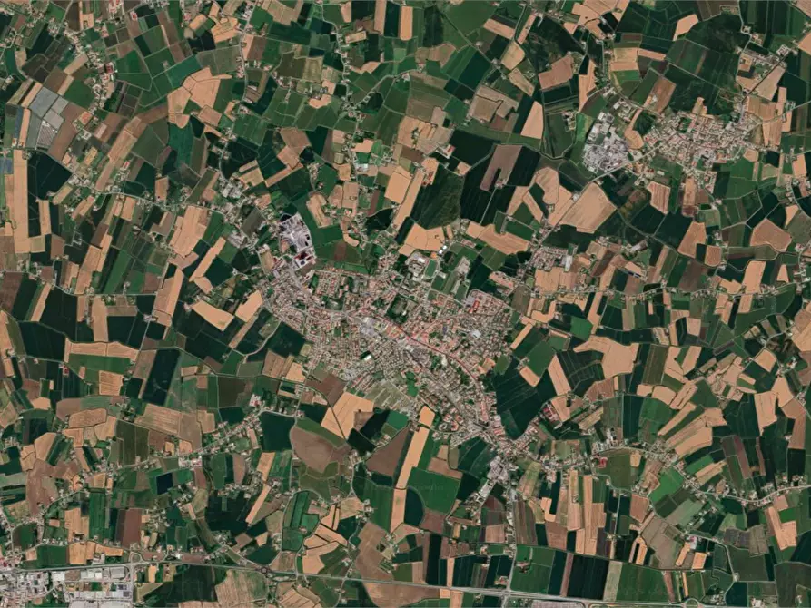 Immagine 11 di Negozio in vendita  in Via Vittorio Emanuele Secondo a Conselve