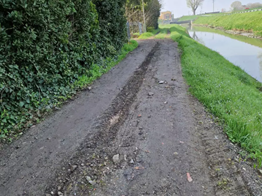 Immagine 2 di Terreno agricolo in vendita  in Str. Margherita a Chioggia