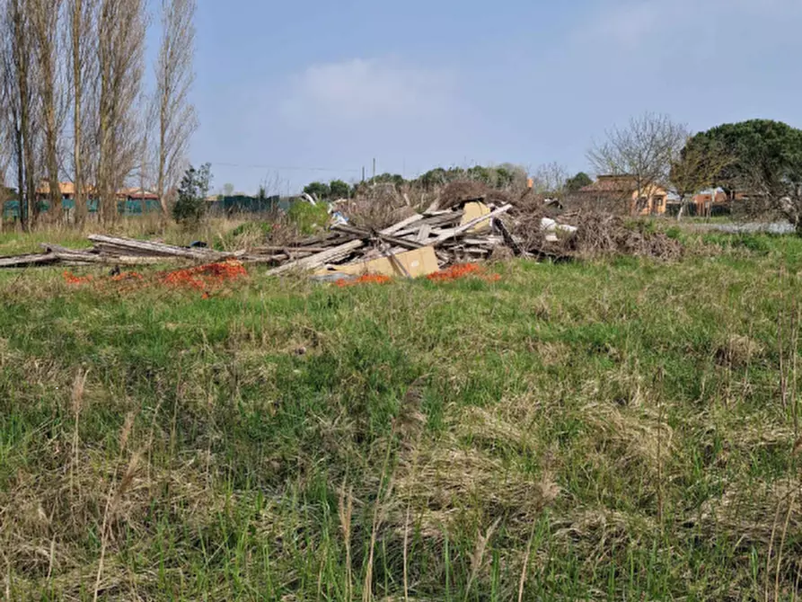 Immagine 4 di Terreno agricolo in vendita  in Str. Margherita a Chioggia
