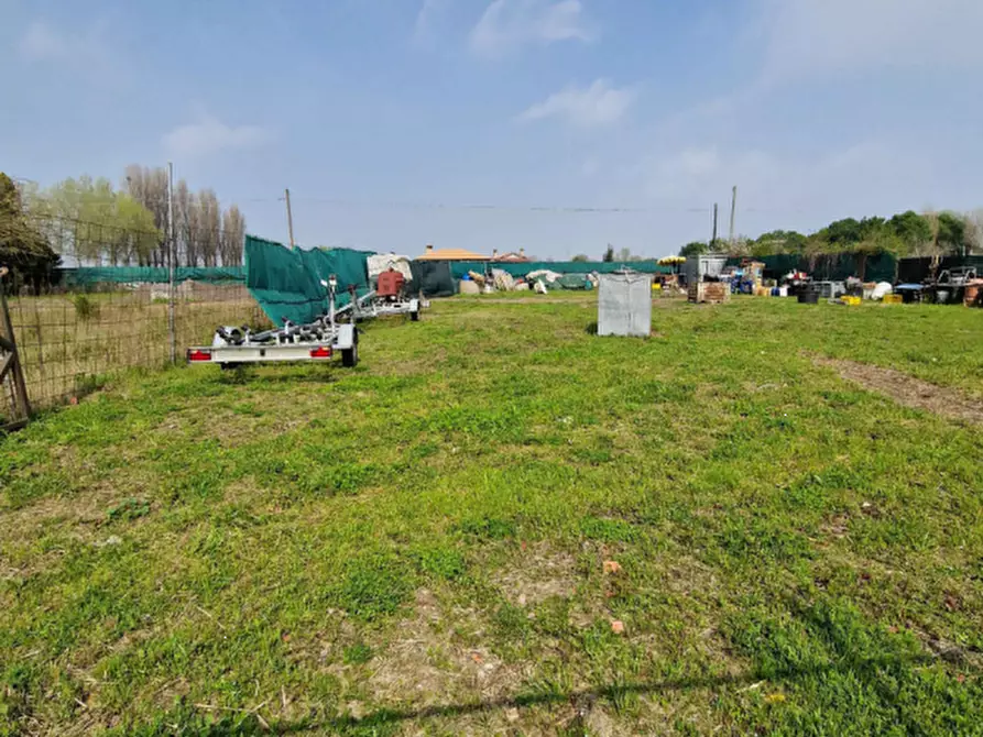 Immagine 5 di Terreno agricolo in vendita  in Str. Margherita a Chioggia