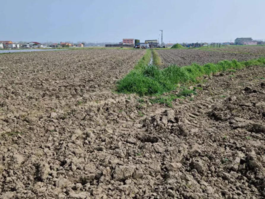 Immagine 6 di Terreno agricolo in vendita  in Str. Margherita a Chioggia
