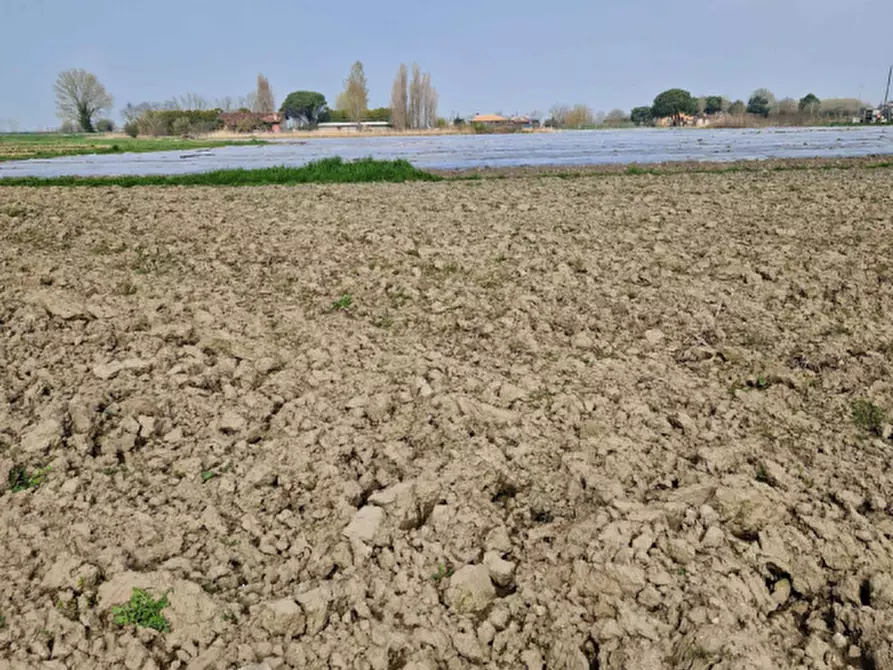 Immagine 8 di Terreno agricolo in vendita  in Str. Margherita a Chioggia
