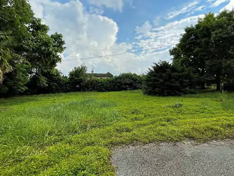 Immagine 21 di Villa in vendita  in Via Pastoreria a Gazzo Padovano