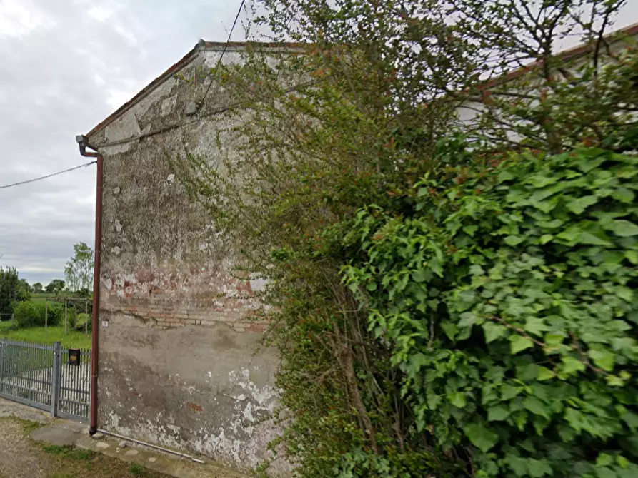 Immagine 5 di Casa indipendente in vendita  in Via Borgo a Correzzola