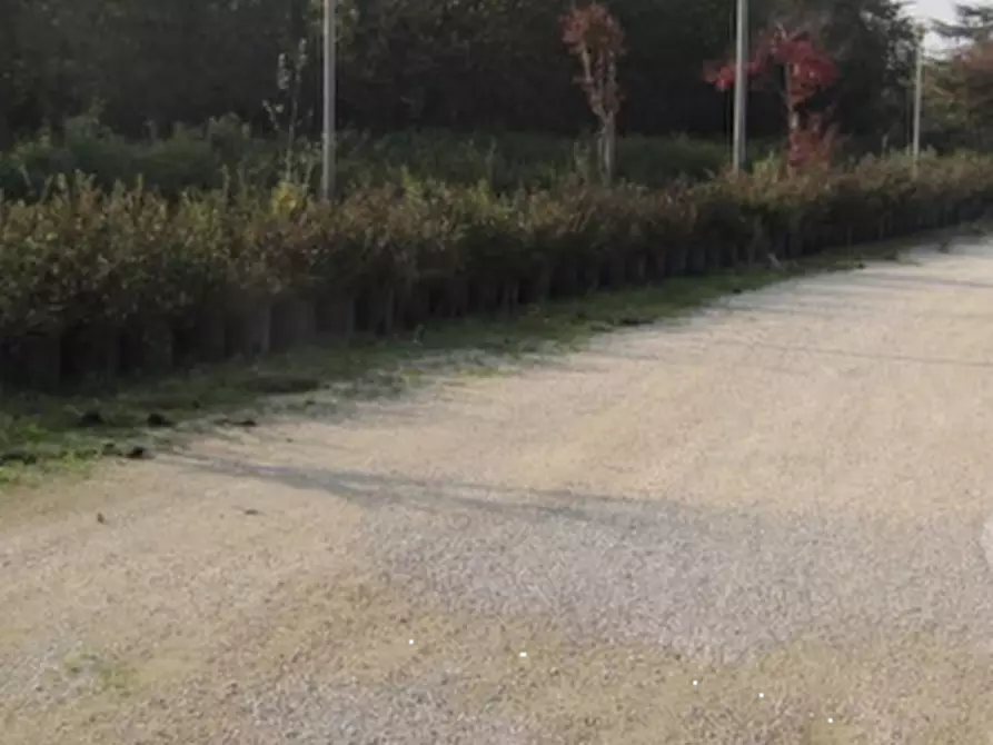 Immagine 16 di Azienda agricola in vendita  in Via Paliaga a Venezia