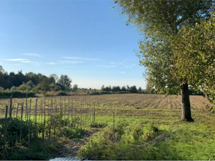 Immagine 1 di Terreno agricolo in vendita  in Via Casino Rosso a Camponogara