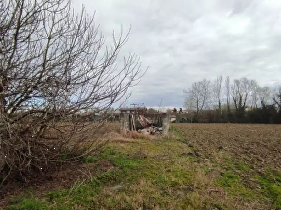 Immagine 6 di Terreno agricolo in vendita  in Via Vecchio Hangar a Venezia