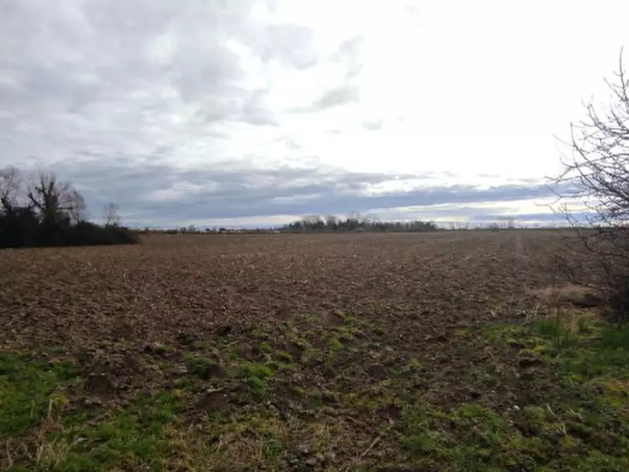 Immagine 8 di Terreno agricolo in vendita  in Via Vecchio Hangar a Venezia
