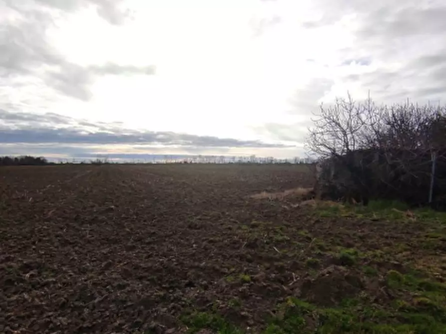 Immagine 10 di Terreno agricolo in vendita  in Via Vecchio Hangar a Venezia