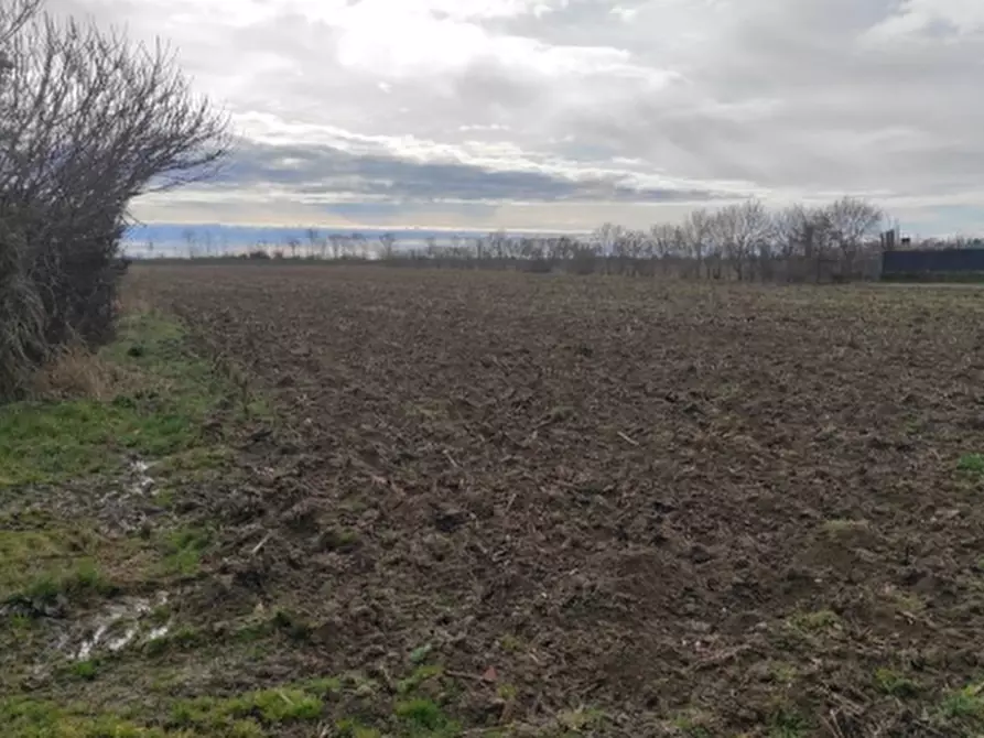 Immagine 12 di Terreno agricolo in vendita  in Via Vecchio Hangar a Venezia