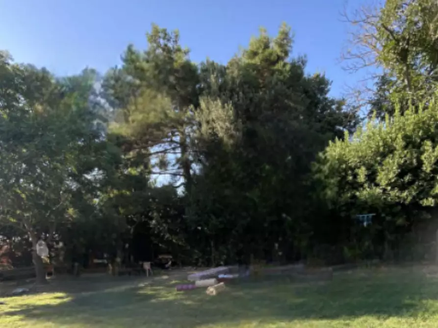 Immagine 5 di Casa indipendente in vendita  in Via Selice a Conselice