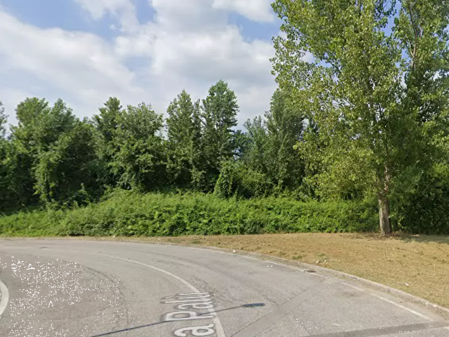 Immagine 9 di Terreno agricolo in vendita  in Via Palù a San Vendemiano