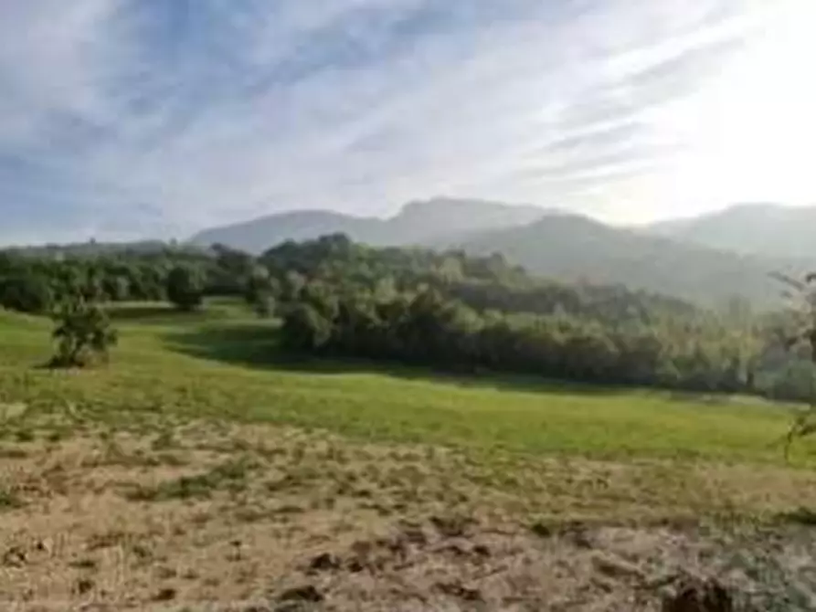 Immagine 2 di Terreno agricolo in vendita  in Via Palamina a Mercato Saraceno