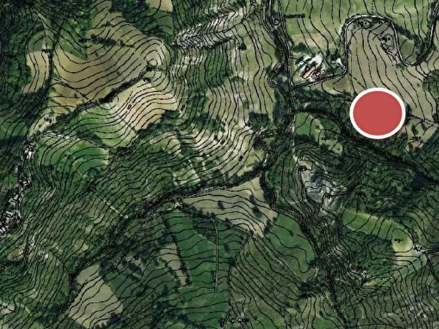 Immagine 3 di Terreno agricolo in vendita  in Via Palamina a Mercato Saraceno