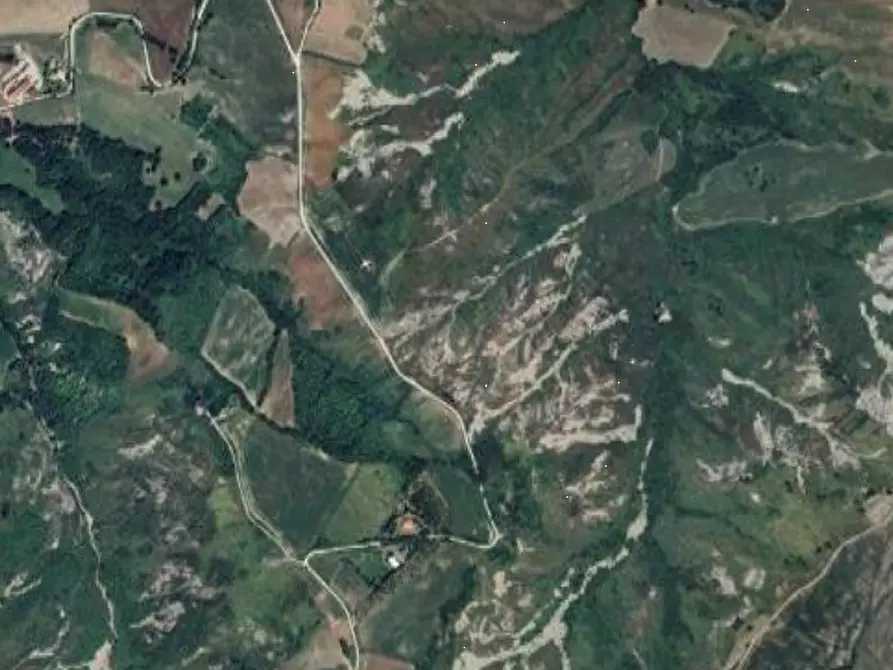 Immagine 14 di Terreno agricolo in vendita  in Via Palamina a Mercato Saraceno