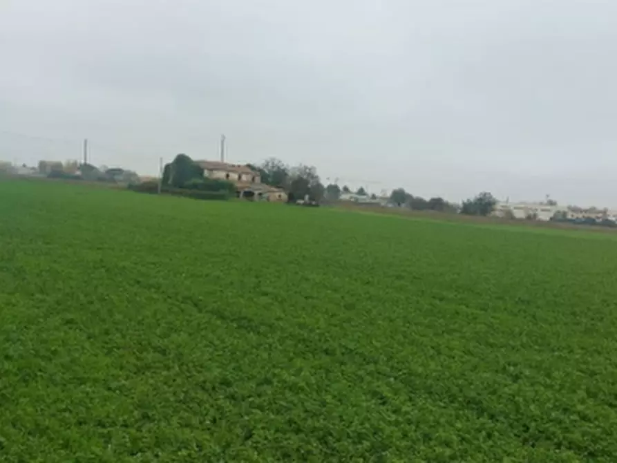 Immagine 6 di Terreno edificabile in vendita  in Via Emilia Ponente a Cesena