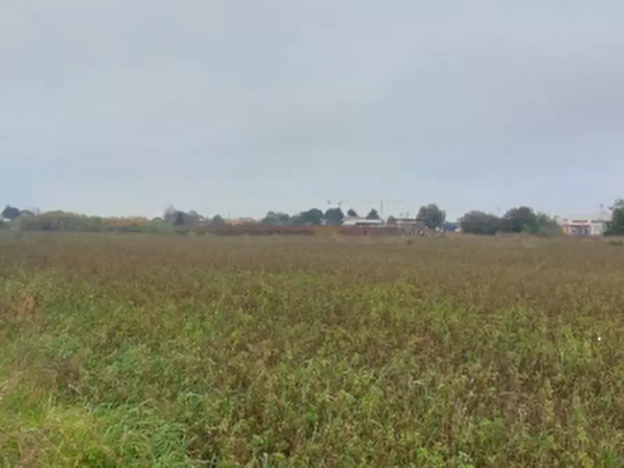 Immagine 2 di Terreno edificabile in vendita  in Via Emilia Ponente a Cesena