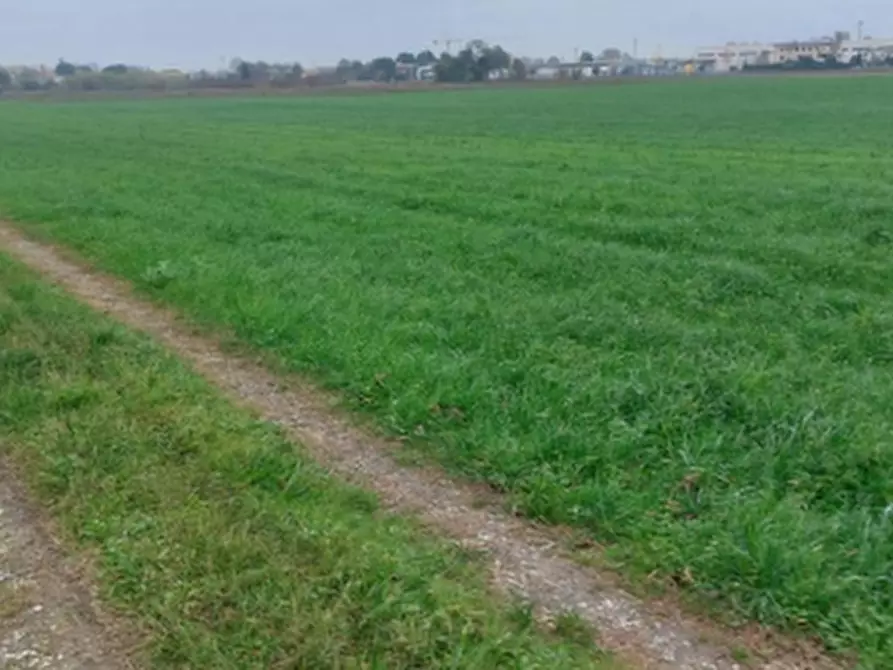 Immagine 9 di Terreno edificabile in vendita  in Via Emilia Ponente a Cesena