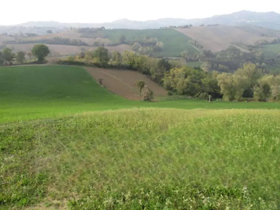 Immagine 1 di Terreno agricolo in vendita  in Via Serra a Mercato Saraceno