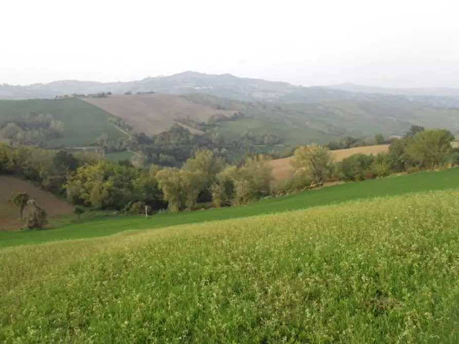 Immagine 2 di Terreno agricolo in vendita  in Via Serra a Mercato Saraceno