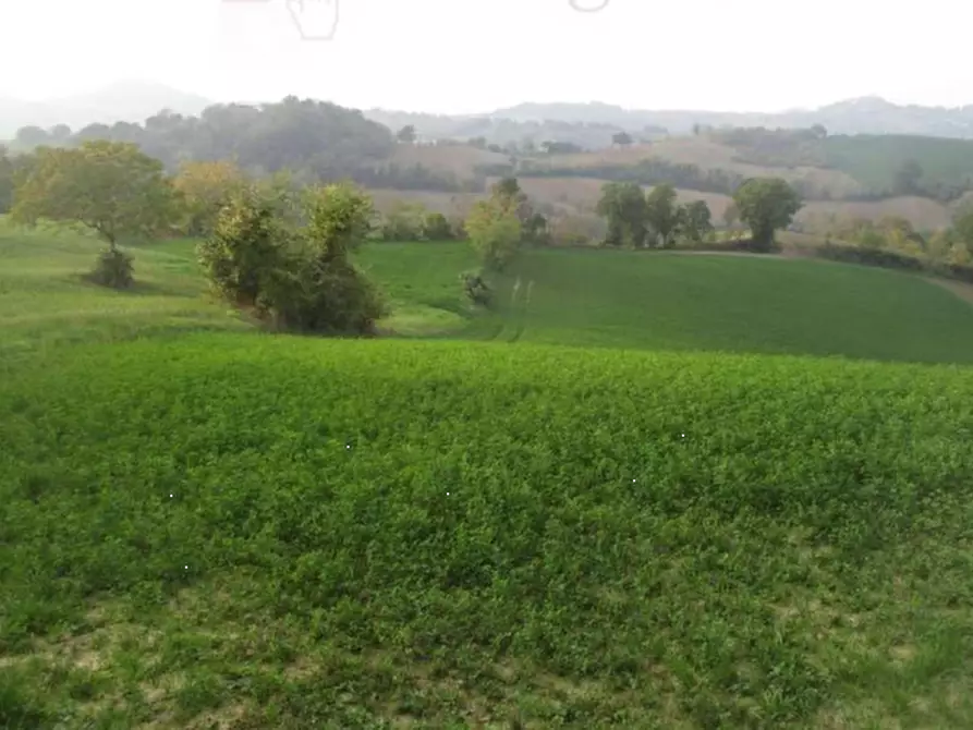 Immagine 3 di Terreno agricolo in vendita  in Via Serra a Mercato Saraceno