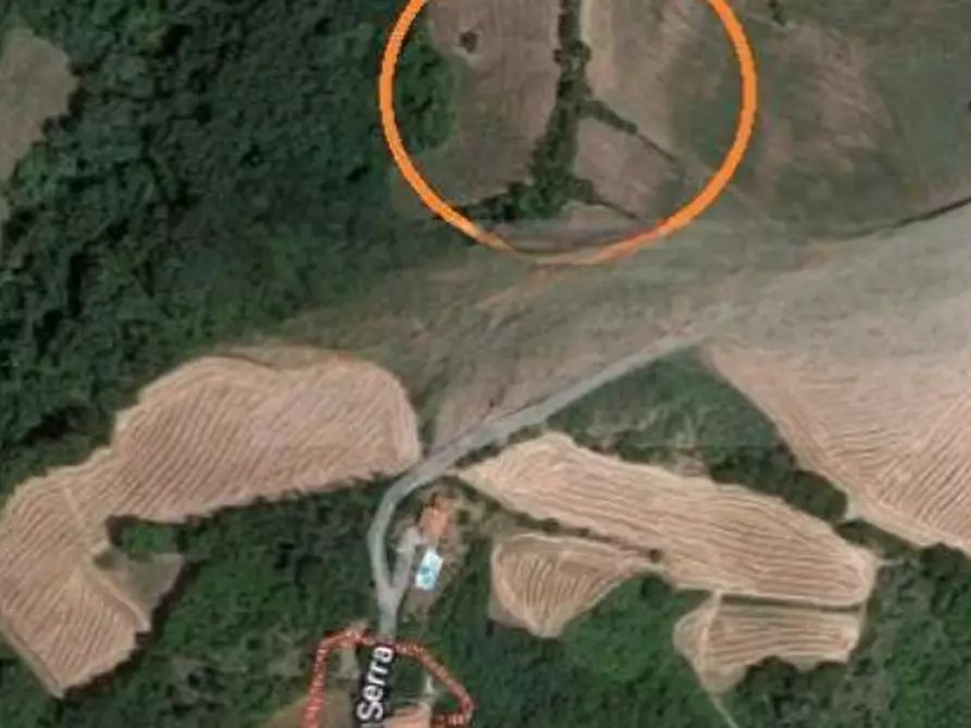 Immagine 7 di Terreno agricolo in vendita  in Via Serra a Mercato Saraceno