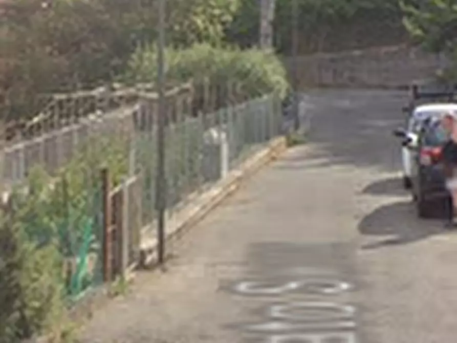 Immagine 4 di Terreno agricolo in vendita  in Via Serra a Mercato Saraceno