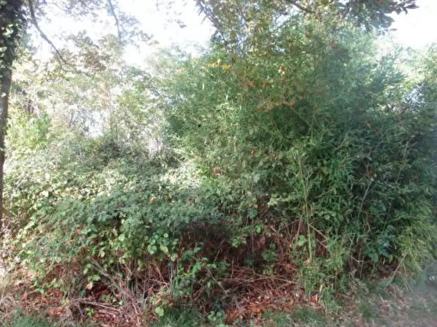 Immagine 3 di Porzione di casa in vendita  in Via Serra a Mercato Saraceno